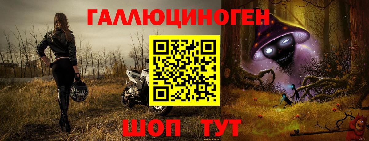 Псков  Псилоцибиновые грибы ЛСД  Вход с VPN  Галлюциногенные грибы Psilocybe 